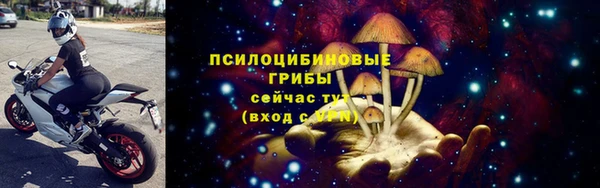 гидропоника Армянск