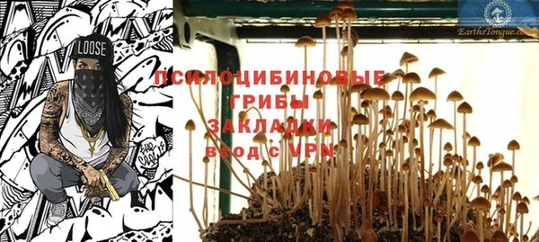 шишки Арсеньев