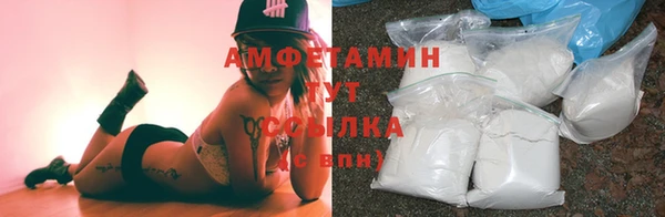 шишки Арсеньев