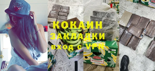 шишки Арсеньев