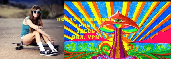 шишки Арсеньев
