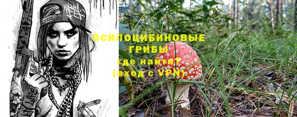 шишки Арсеньев