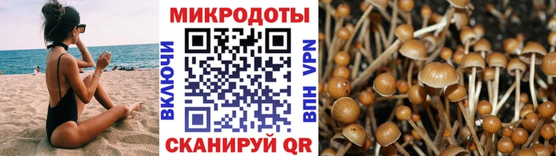 Галлюциногенные грибы GOLDEN TEACHER Светлый